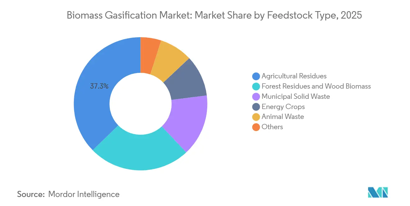 Biomass Gasification Market Share by Feedstock Type, 2025