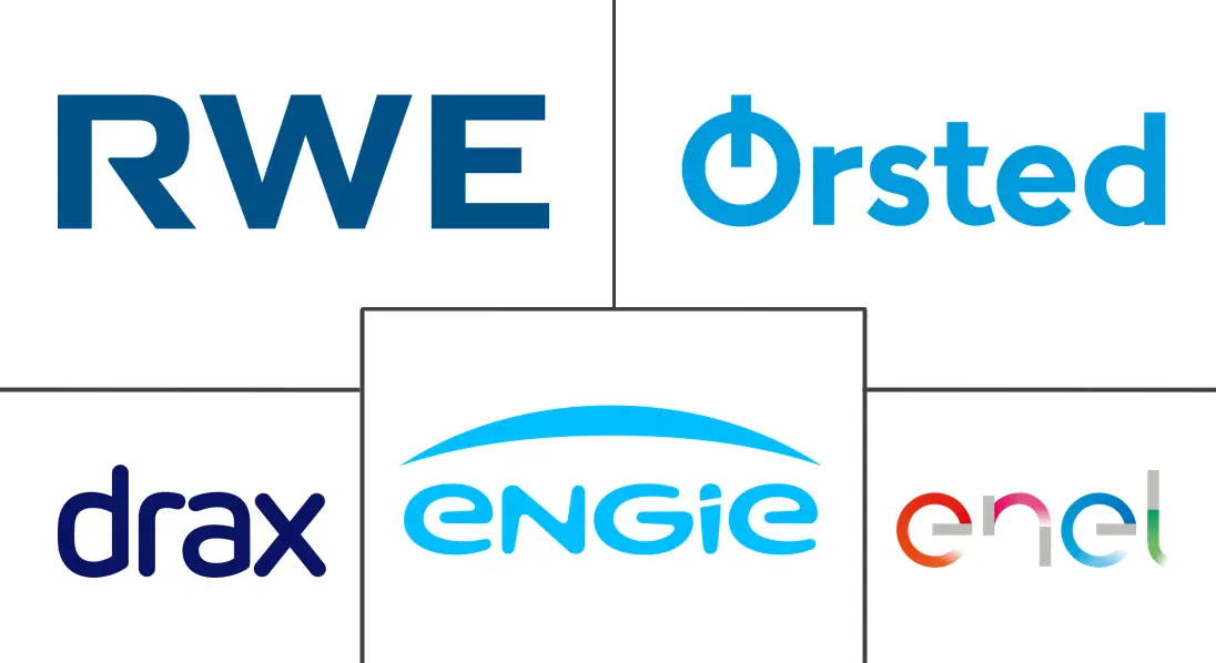 Major players in Biomass Power industry