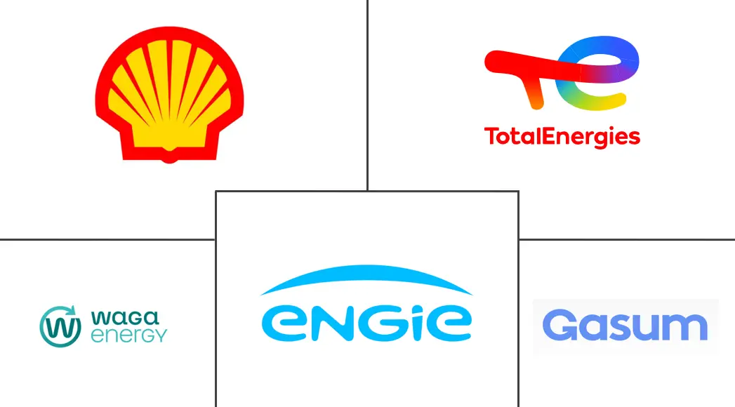Major players in Biomethane industry