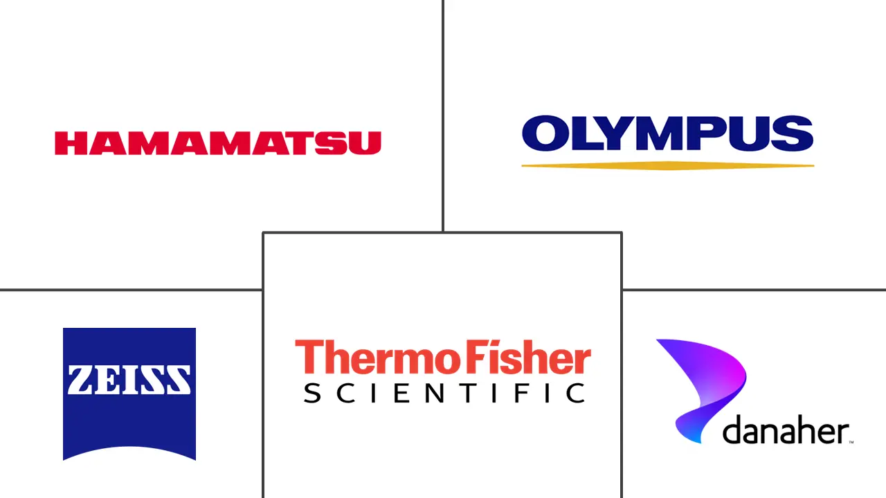 Related Companies Logo