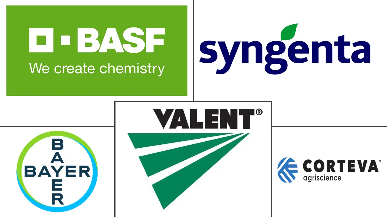 Related Companies Logo
