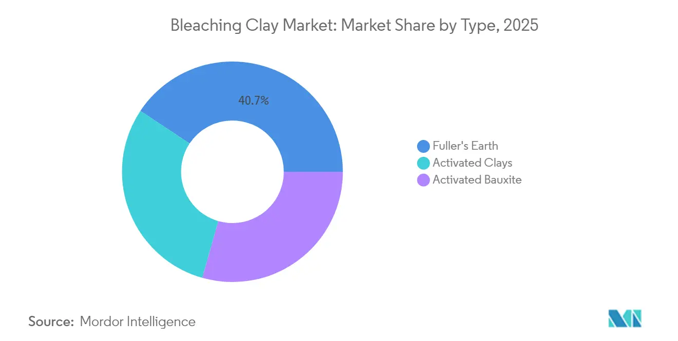 Bleaching Clay Market: Market Share by Type, 2025