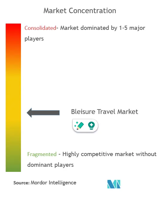 Bleisure Travel Market Concentration