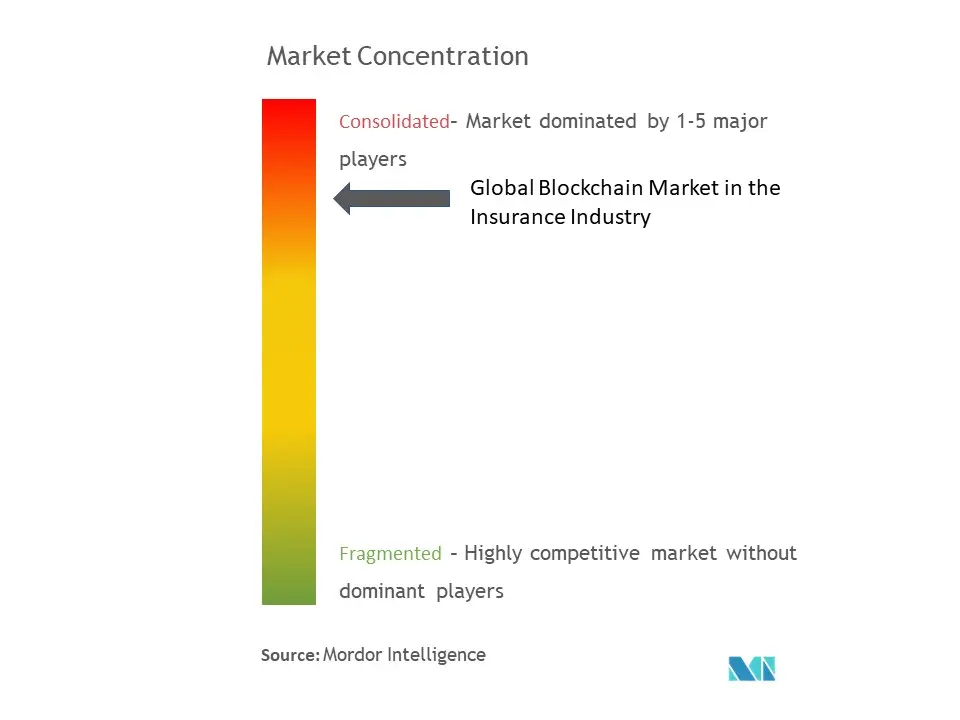 Blockchain in Insurance Market Concentration
