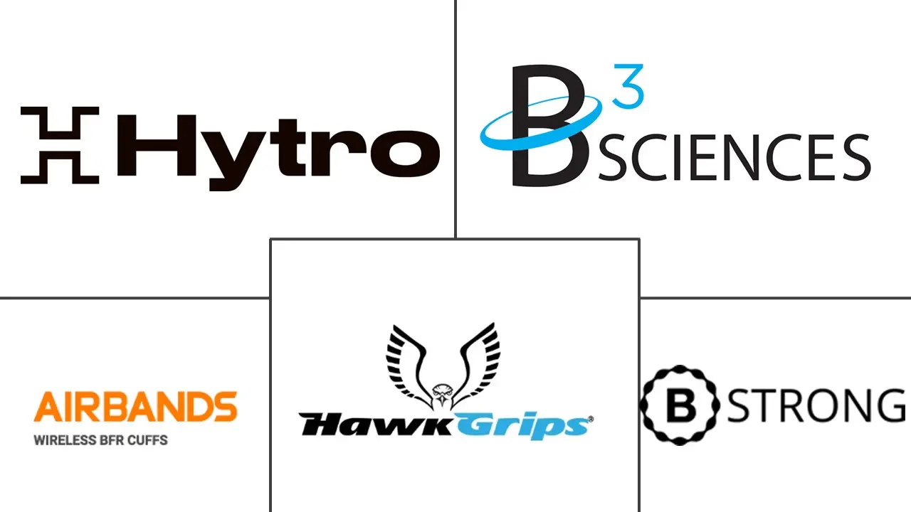 Major players in Blood Flow Restriction Bands industry
