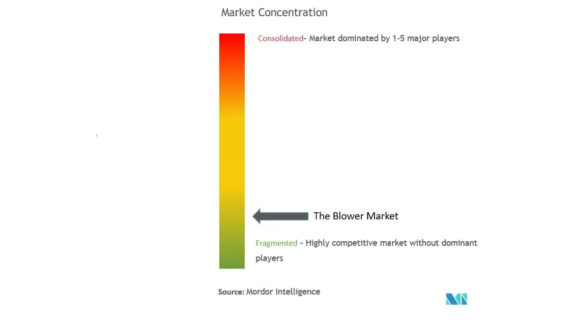 Blowers Market Concentration