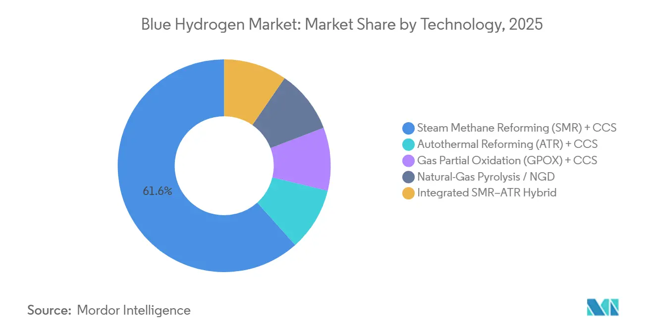 Blue Hydrogen Market Share by Technology, 2025