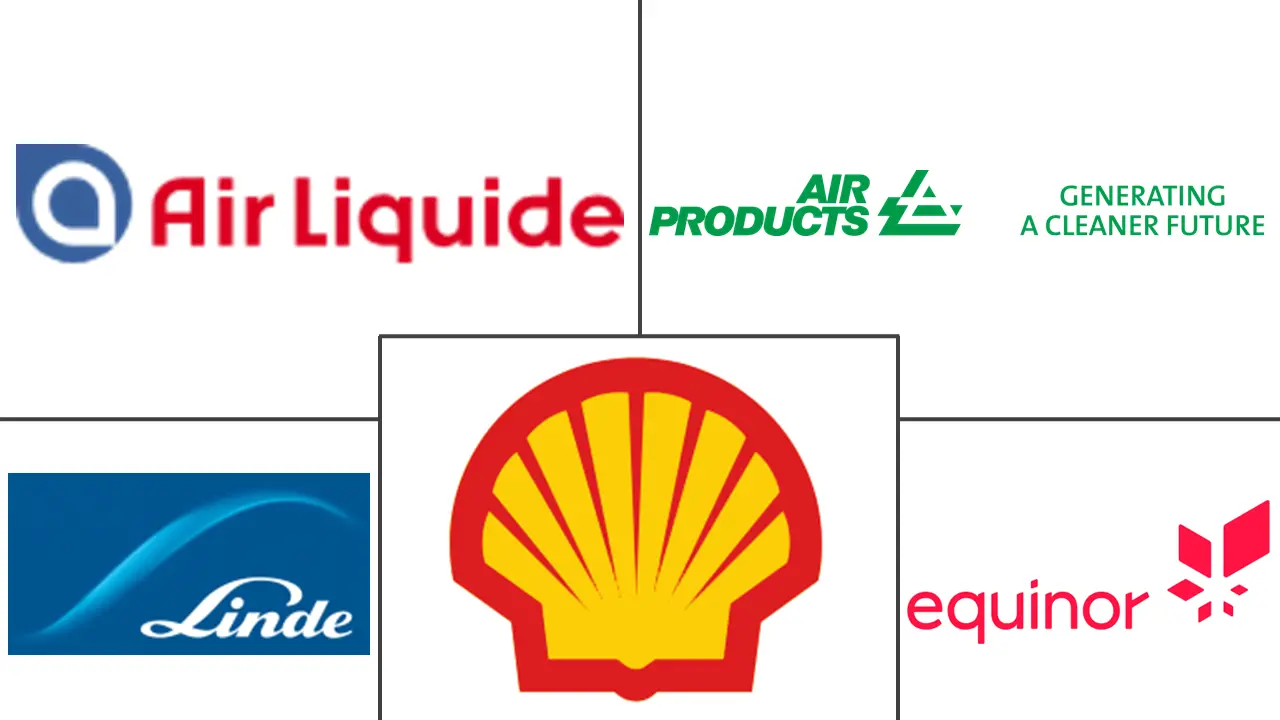 Major players in Blue Hydrogen industry