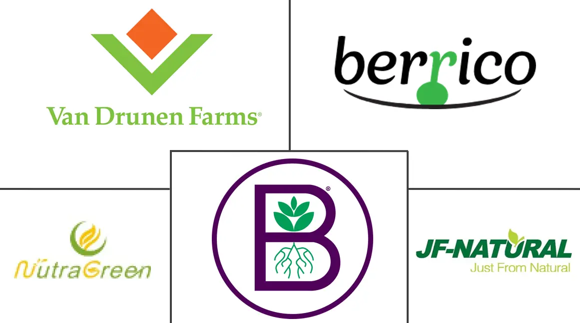 Major players in Blueberry Extract industry