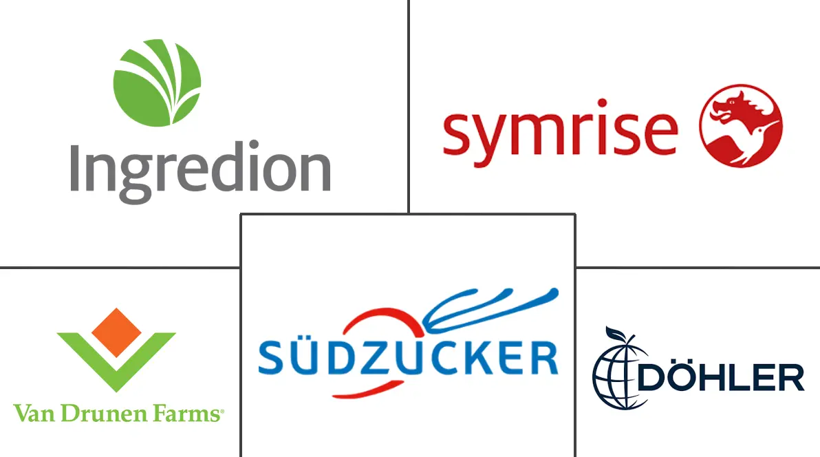 Blueberry Ingredient Market Major Players