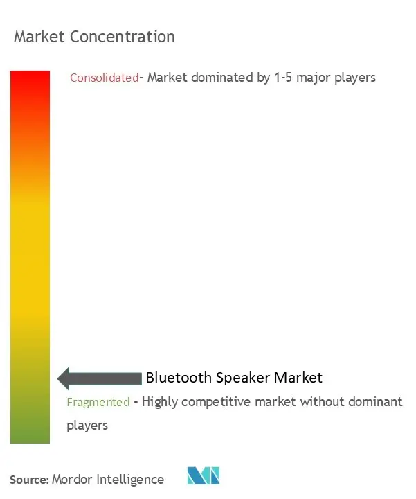 Bluetooth Speaker Market Concentration