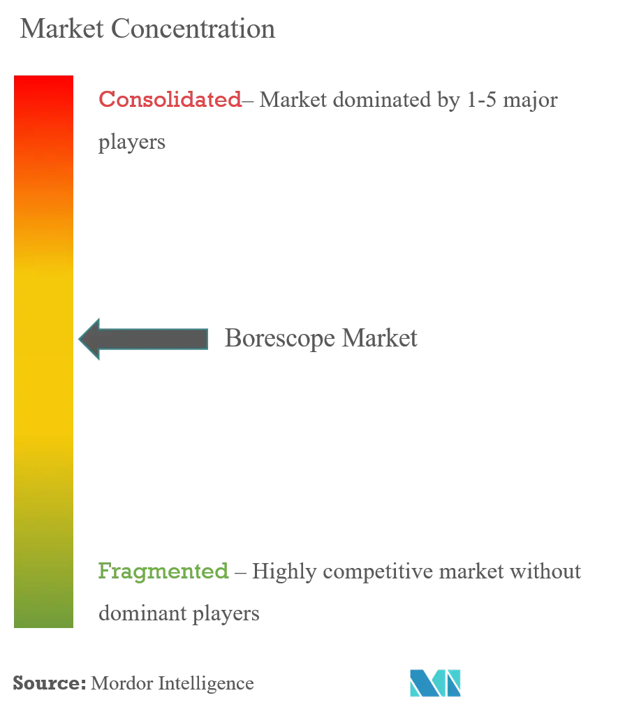 Borescope Market Concentration