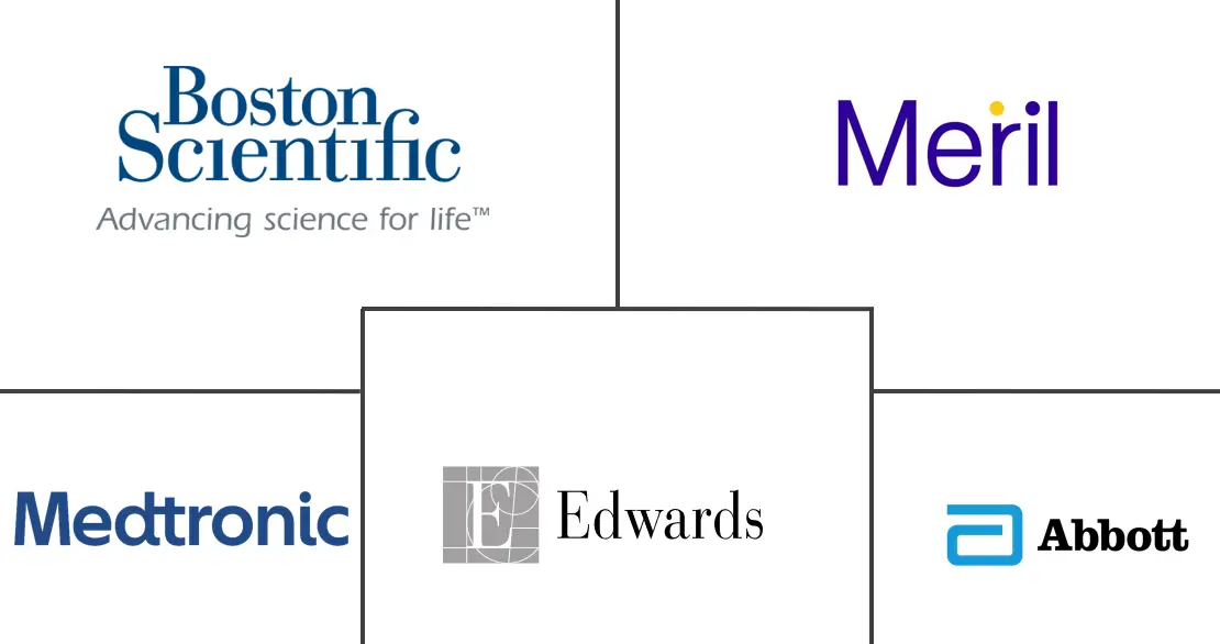 Major players in Bovine Pericardial Valve industry
