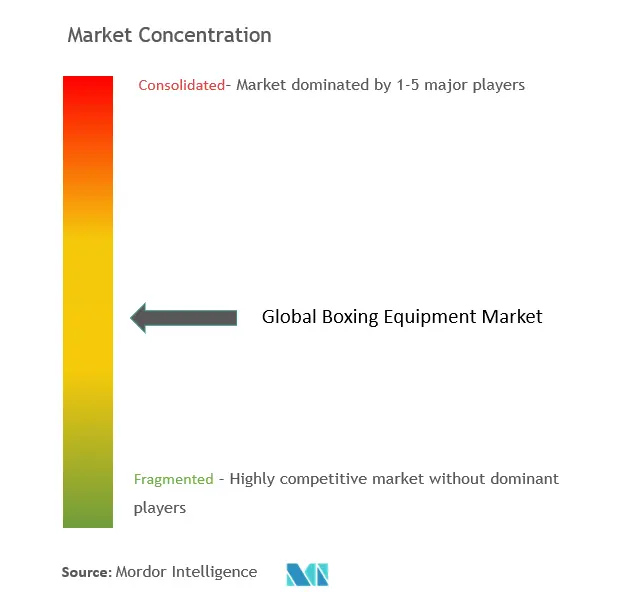 Boxing Equipment Market Concentration