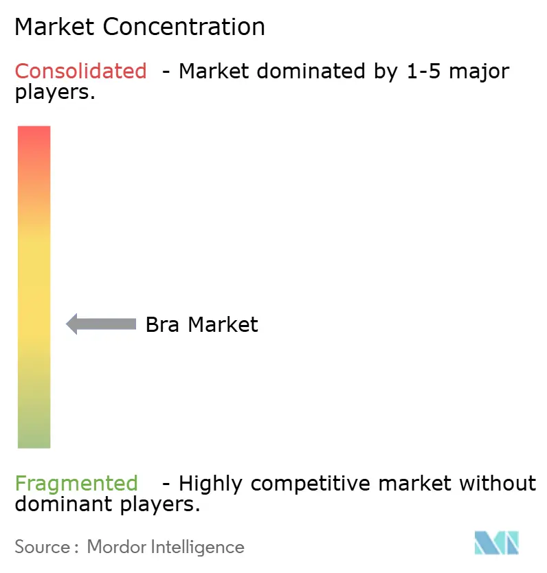 Bra Market Concentration