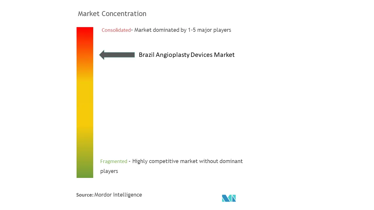 Brazil Angioplasty Devices Market Concentration