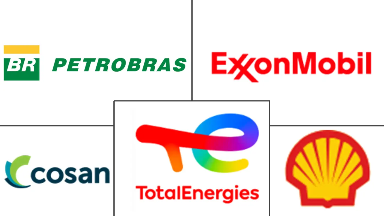 Major players in Brazil Automotive Engine Oils industry