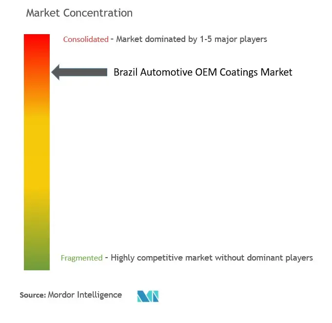 Brazil Automotive OEM Coatings Market Concentration