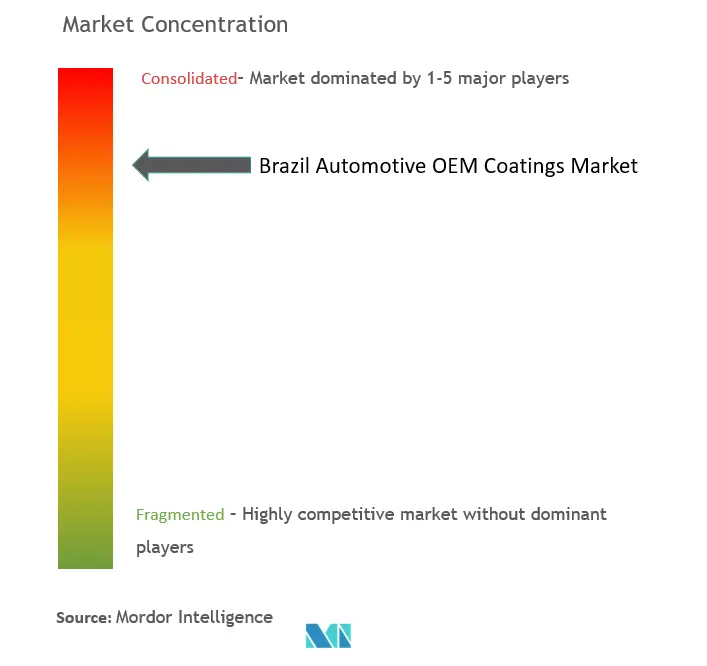 ブラジル自動車用OEMコーティング市場の集中度