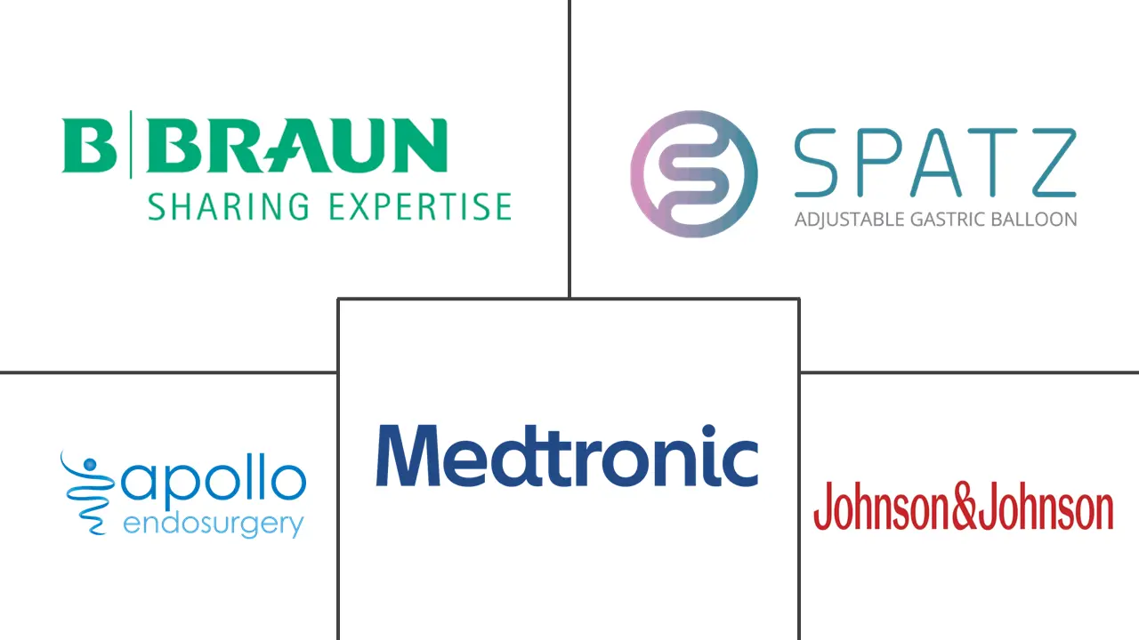 Major players in Brazil Bariatric Surgery industry