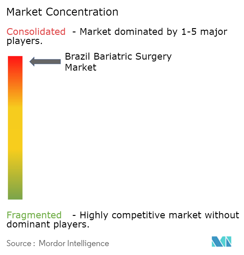 Brazil Bariatric Surgery Market Concentration