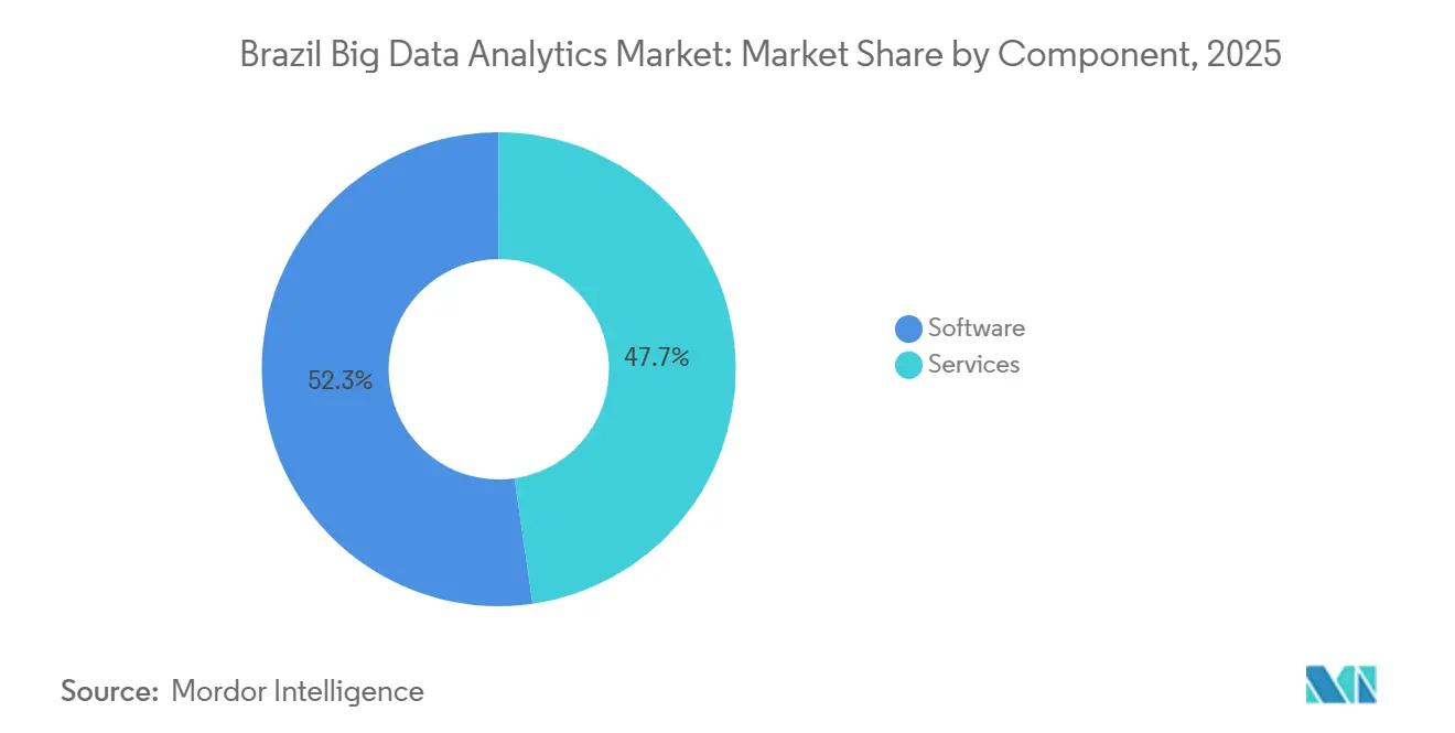 Brazil Big Data Analytics Market Share by Component, 2025