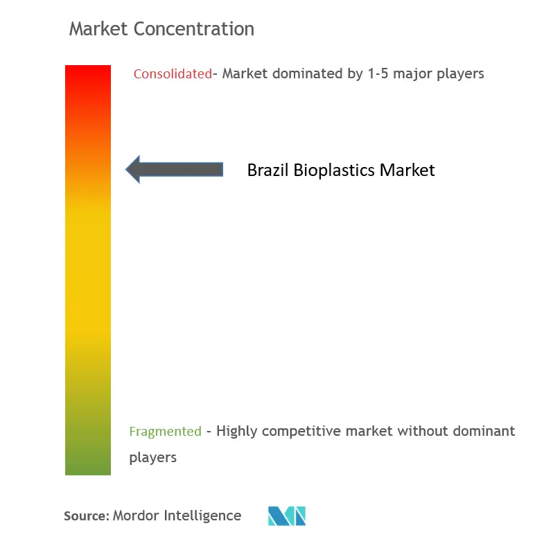 ブラジル・バイオプラスチック市場の集中度