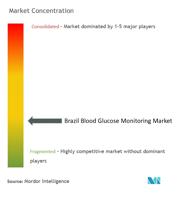 ブラジル血糖モニタリング市場濃度
