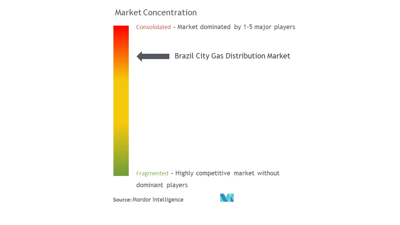Brazil City Gas Distribution Market Concentration