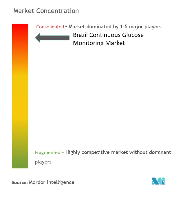 Brazil Continuous Glucose Monitoring Market Concentration
