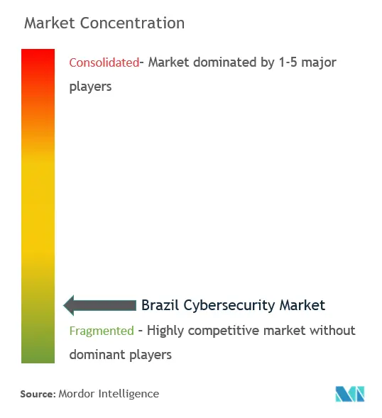 Brazil Cybersecurity Market Concentration
