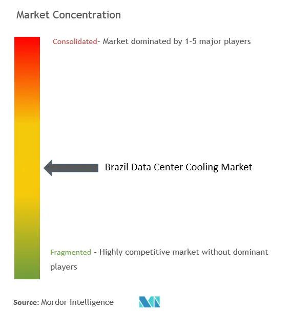 Brazil Data Center Cooling Market Concentration