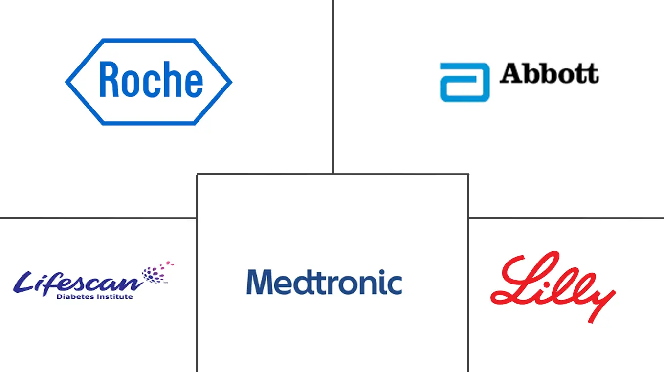 Principales actores en Mercado de Dispositivos para Diabetes en Brasil industria