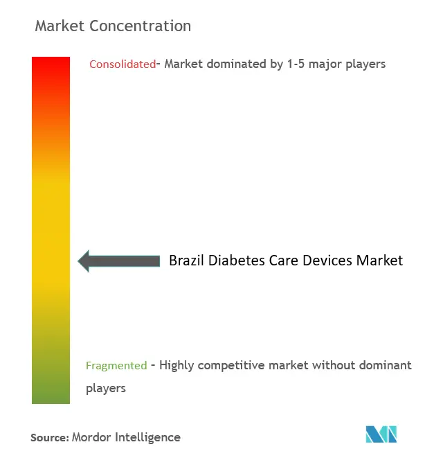 ブラジル糖尿病治療機器市場の集中度