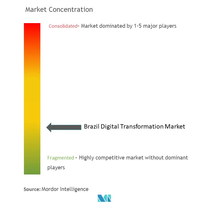 Brazil Digital Transformation Market Concentration