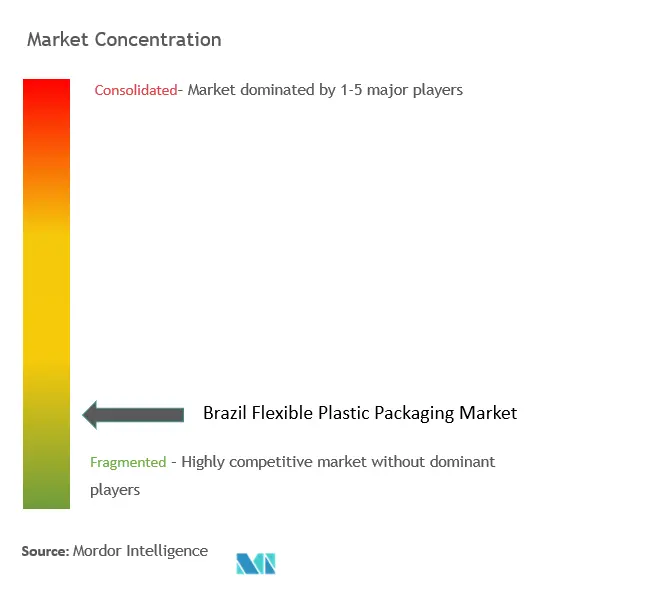 Brazil Flexible Plastic Packaging Market Concentration