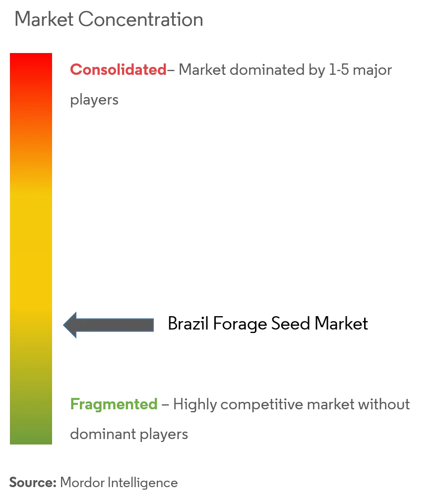 Brazil Forage Seed Market Concentration