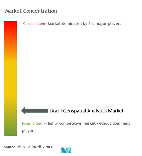 ブラジル地理空間分析市場の集中度