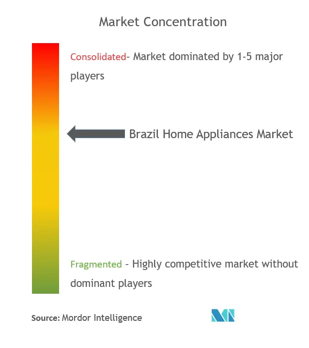 Concentration du marché des appareils électroménagers au Brésil