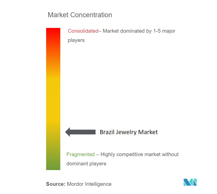 Brazil Jewelry Market_Market Concentration.PNG