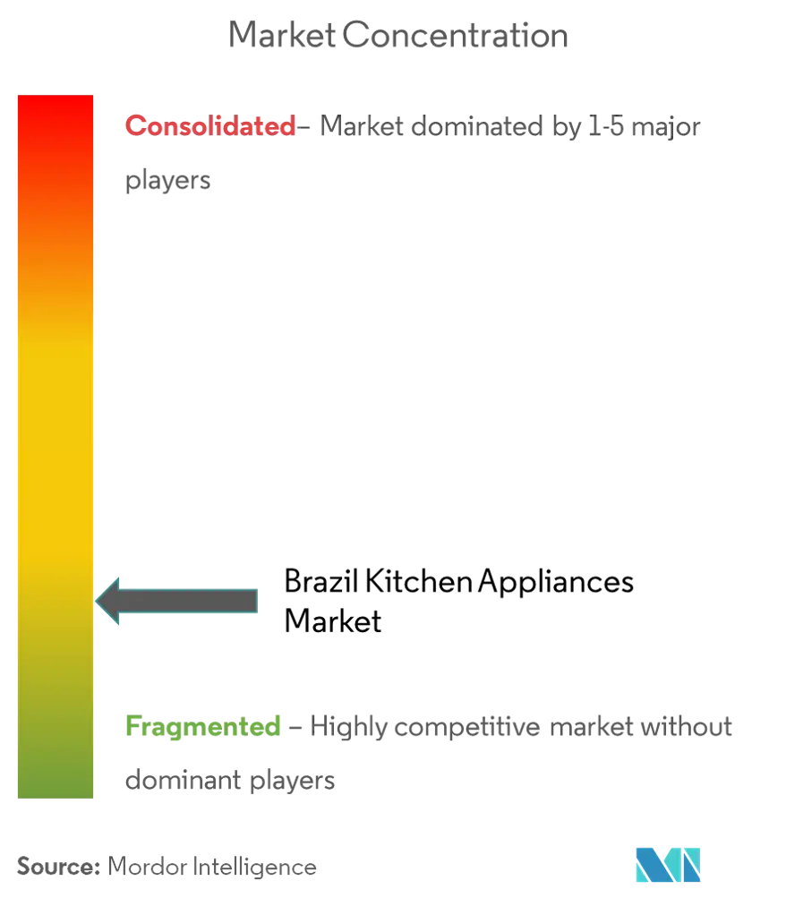 Brazil Kitchen Appliances Market Concentration