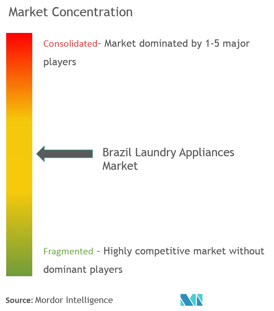 Concentración del mercado de electrodomésticos de lavandería en Brasil