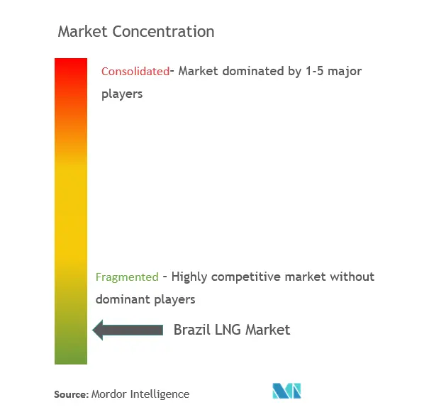 Brazil LNG Market Concentration