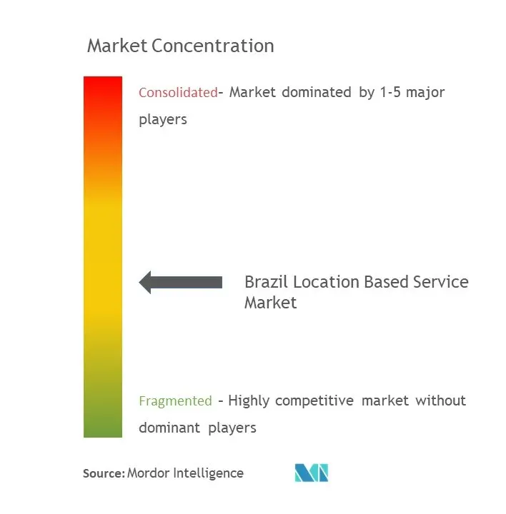 Brazil Location Based Services Market Concentration