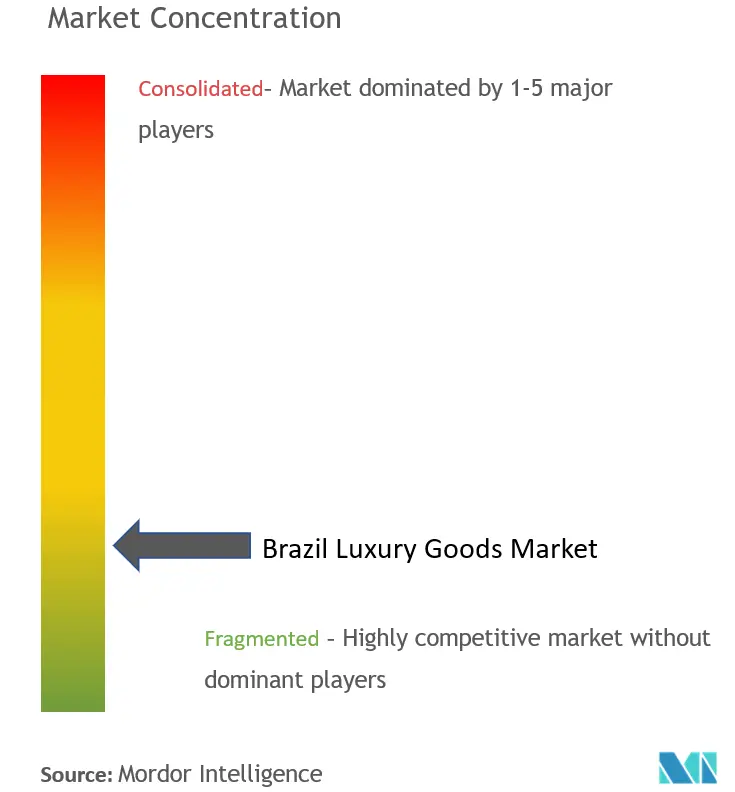 ブラジルの高級品市場集中度