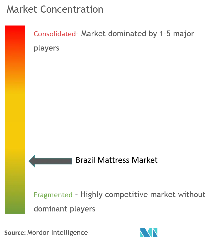 Brazil Mattress Market Concentration