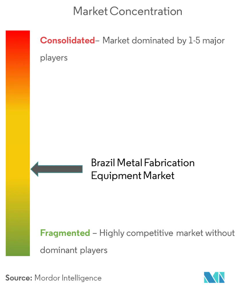 Brazil Metal Fabrication Equipment Market Concentration