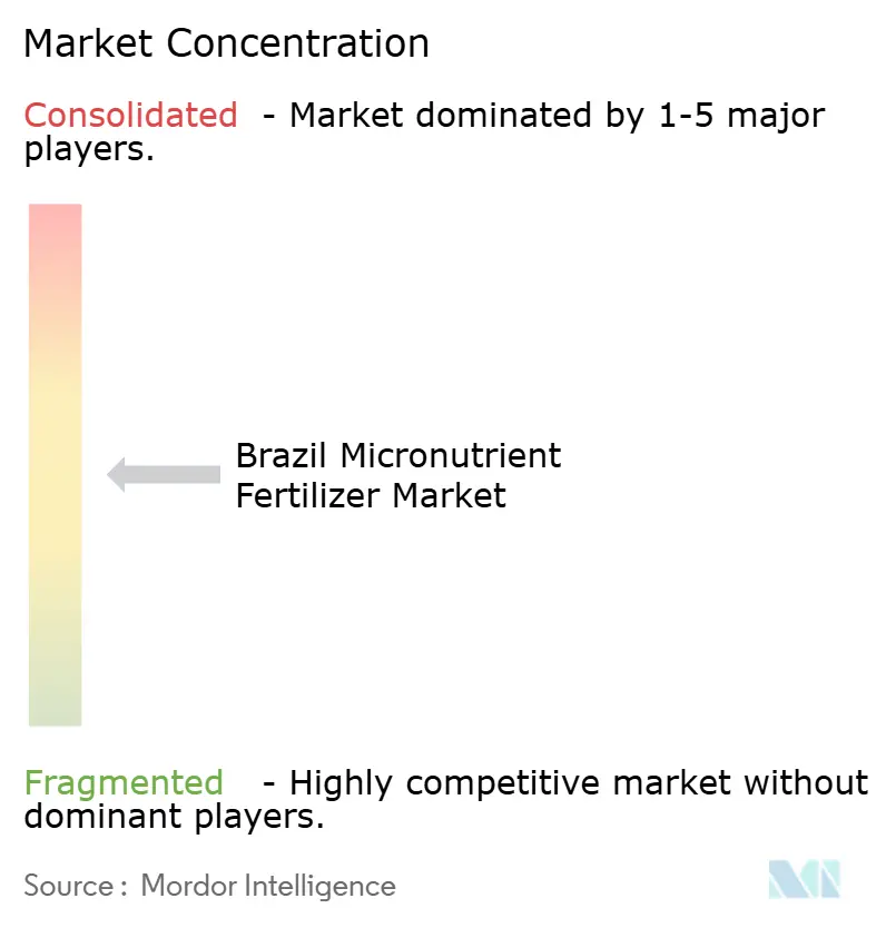 Brazil Micronutrient Fertilizer Market Concentration
