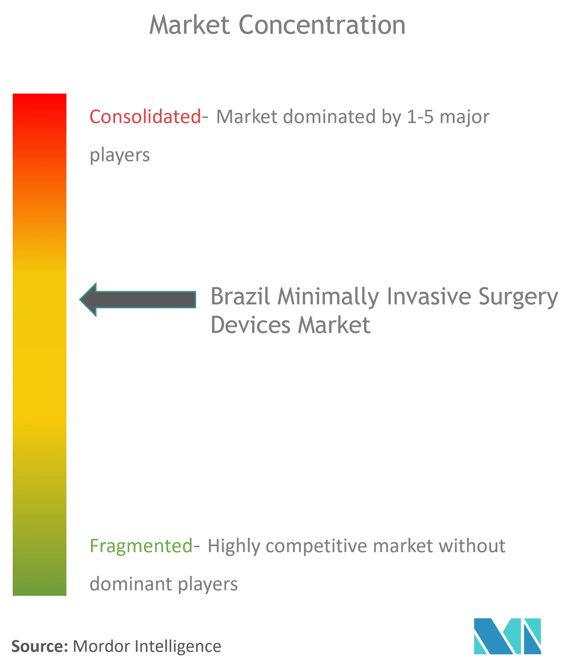 Brazil Minimally Invasive Surgery Devices Market Concentration