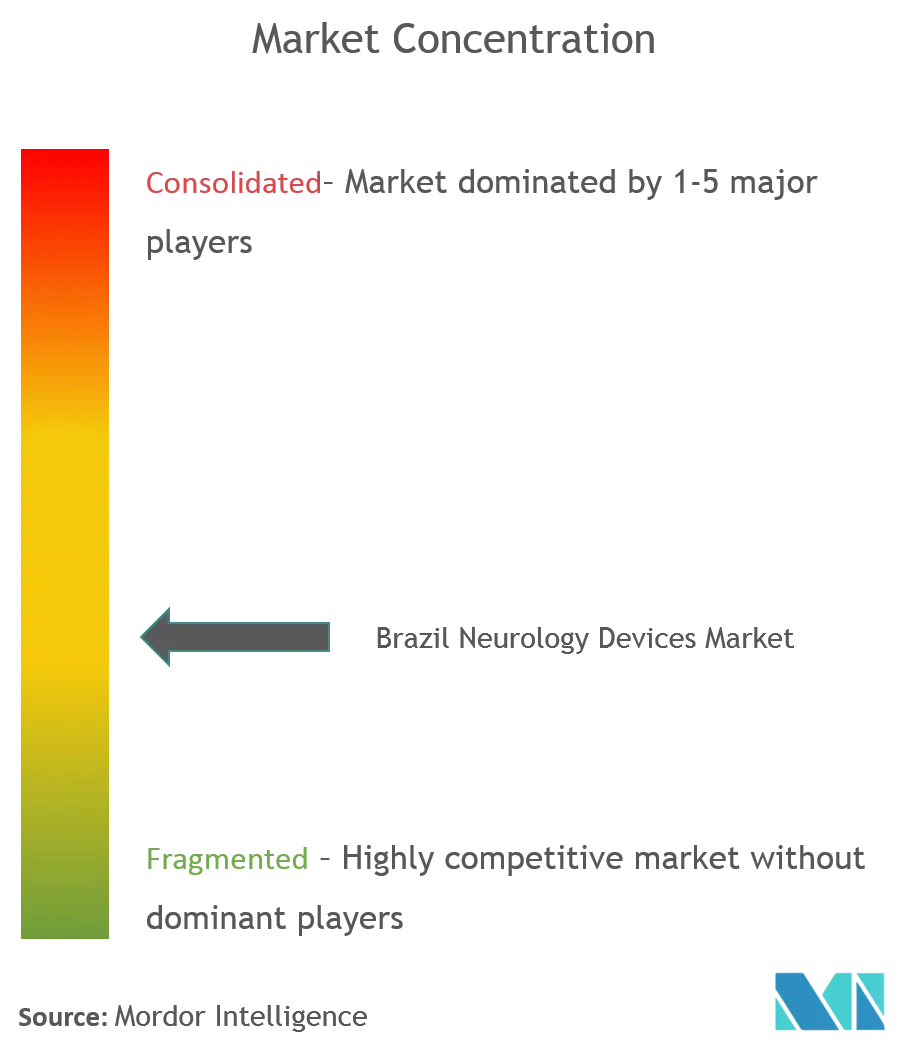 Brazil Neurology Devices Market Concentration